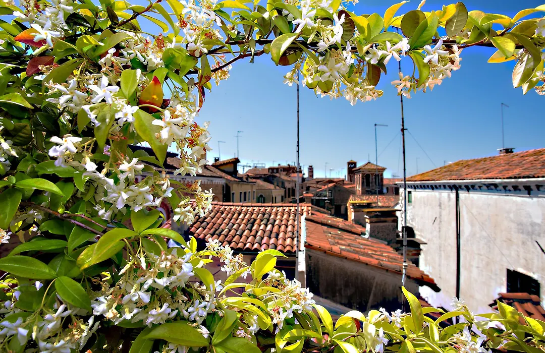 Ca' San Giorgio B&B-1